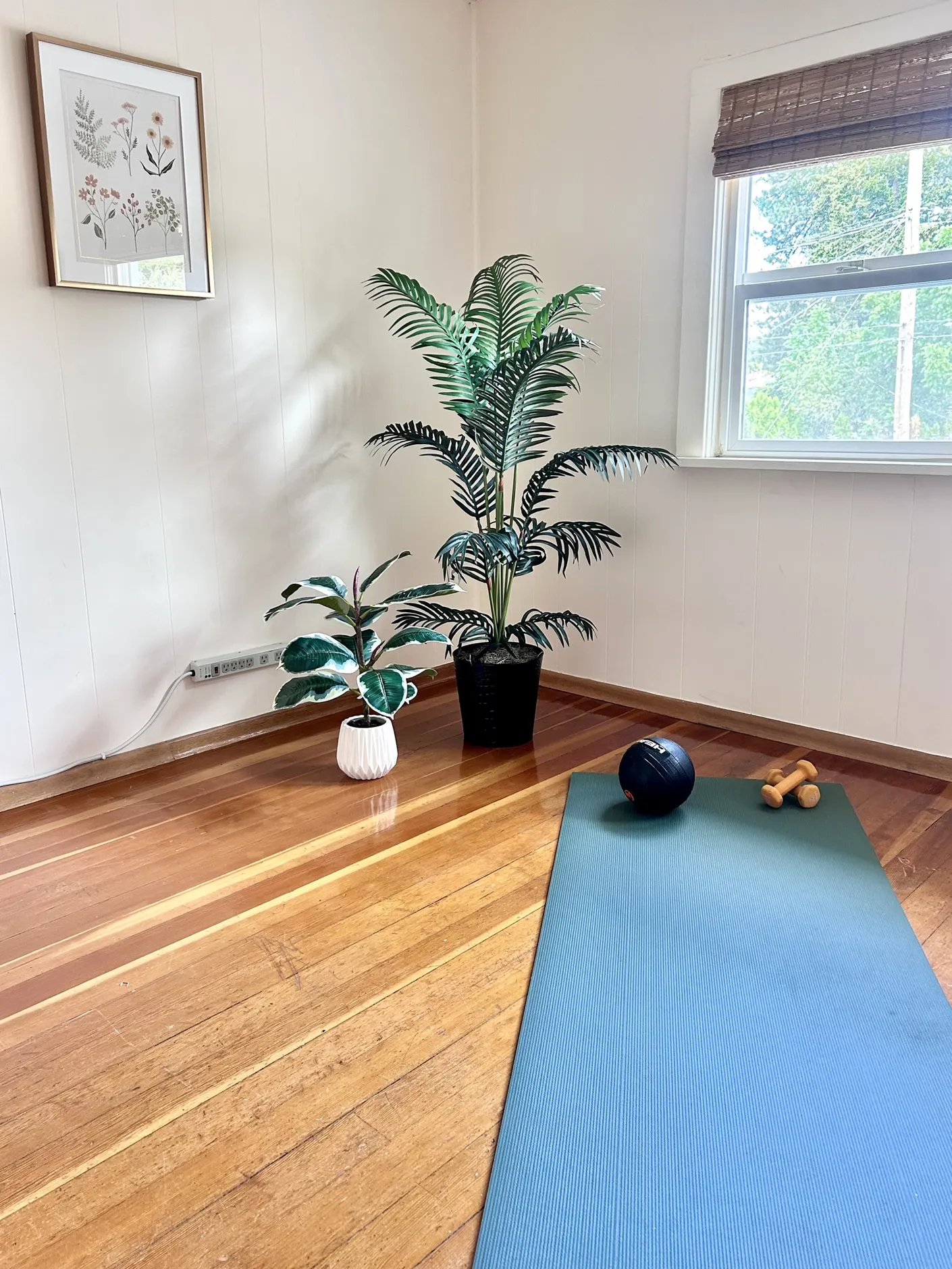 Bright yoga room with mat, plants, and natural light