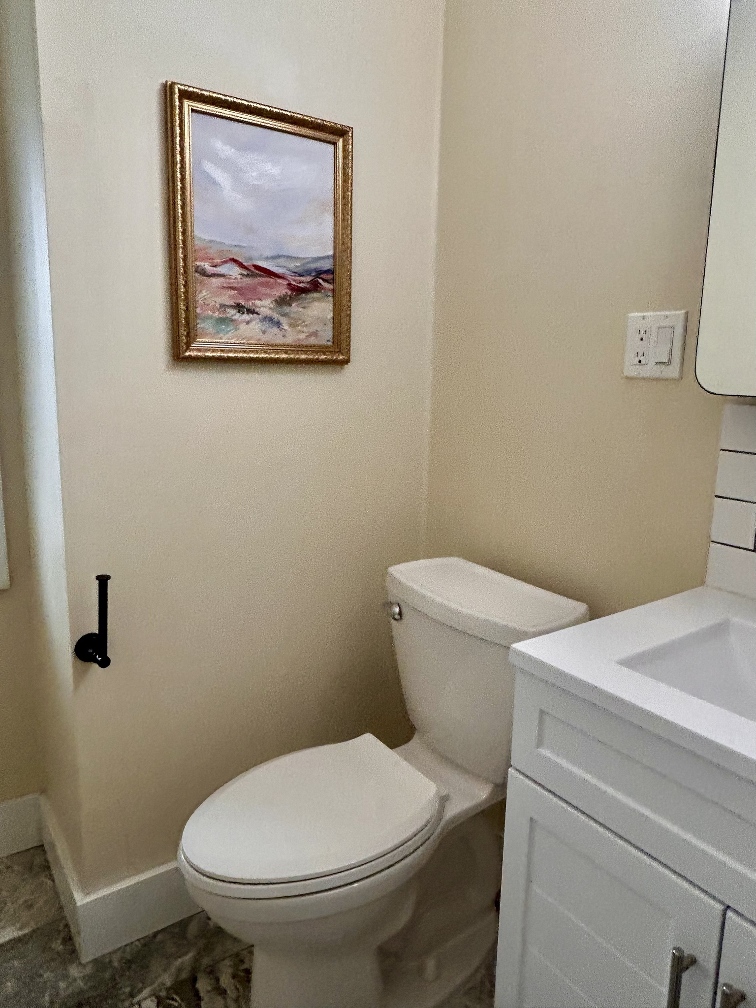 Bathroom with white vanity and framed landscape artwork
